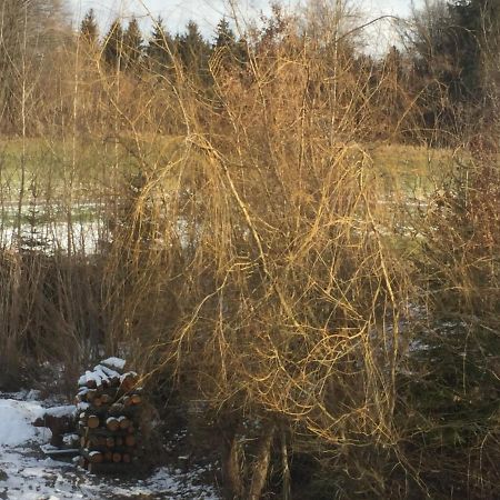 Privatzimmer Vermietung Helmut Buergmann Kirchberg bei Mattighofen Esterno foto