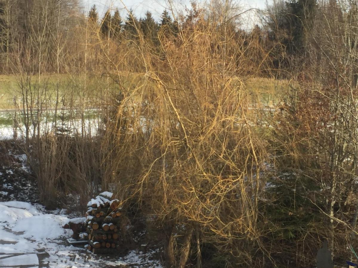 Privatzimmer Vermietung Helmut Buergmann Kirchberg bei Mattighofen Esterno foto